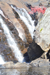 Hill, NH - Profile Falls - Closeup - Fall